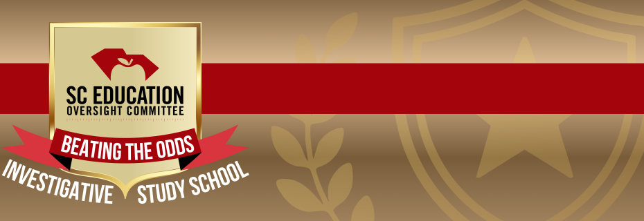 btois banner